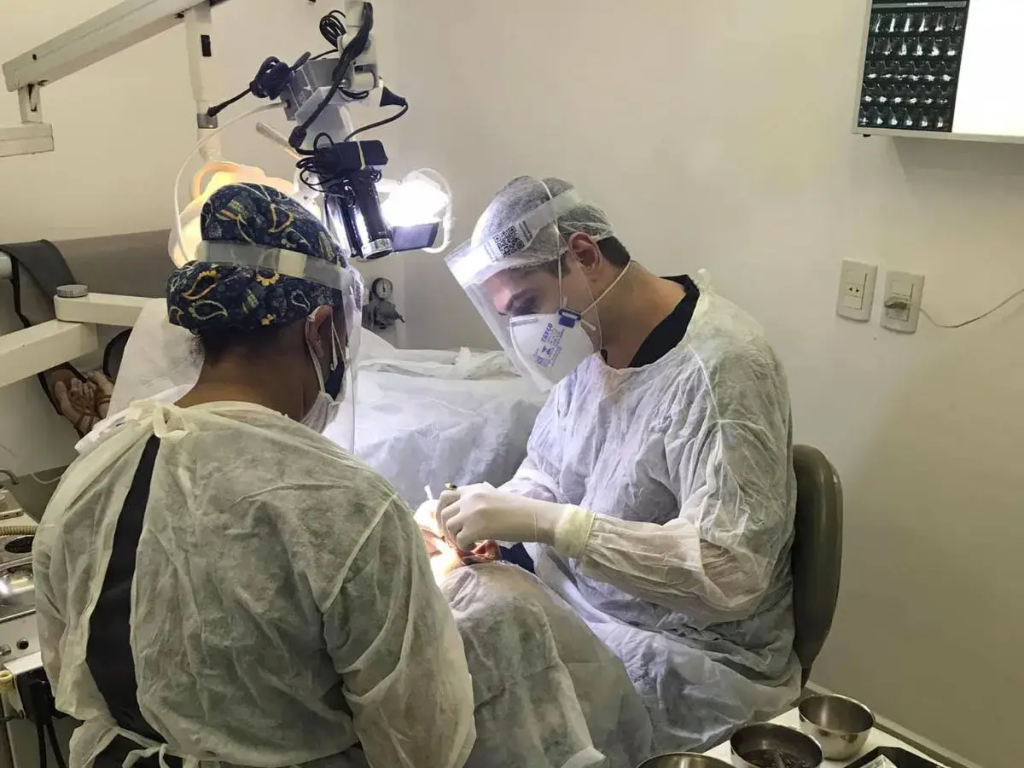 Professional Dentist in Copacabana